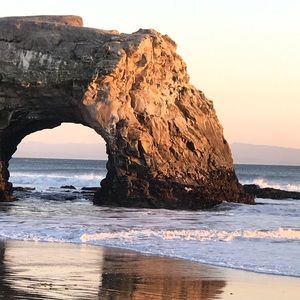 Meet your Posher, Ginger